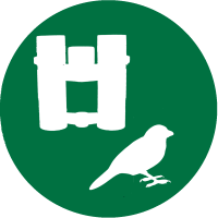 Pirsch & Ornithologie